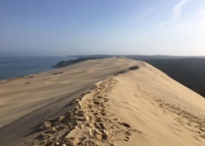 T2 En Front De A Arcachon, Acces Direct Plage, Parking, Animaux Admis - Fr-1-374-201 Arcachon